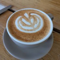 #Veganuary at The Green Rocket Cafe in Bath