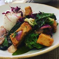 General Tso’s broccoli and tofu stir fry with jasmine rice  at The Green Rocket Cafe in Bath