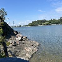   at Cafe Metsäpaahtimo in Helsinki