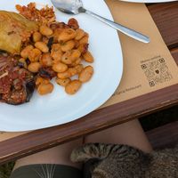 The friendliest cat at Villa Gjeçaj in Theth