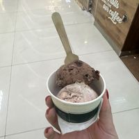 Delicious chocolate brownie icecream and hot chocolate fudge   at V are Vegan - Maybe closed in New Delhi
