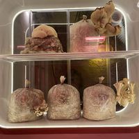 Interior de local   at Funga in Buenos Aires