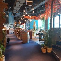 Interior at Nooch - Westside in Bern