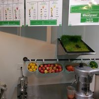 Organic wheatgrass at Nutrition Shoppe Juice and Sandwich Bar in Vacaville