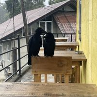 Outside seating  at Cafe Noshers in Nuwara Eliya