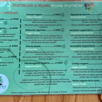   at The Green Spoon in La Fortuna