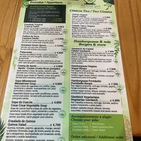   at The Green Spoon in La Fortuna