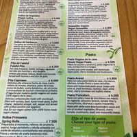   at The Green Spoon in La Fortuna