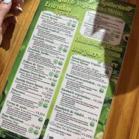   at The Green Spoon in La Fortuna