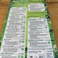   at The Green Spoon in La Fortuna