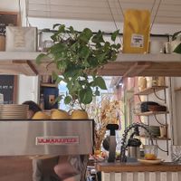 Brume Coffee Nice - Plant-based milk available at Brume Coffee Nice in Nice