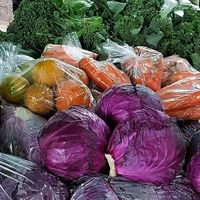 São comercializados hortifrutis at Zerão Organic Fair - Feira Orgânica do Zerão in Londrina