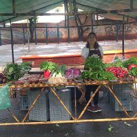 Um dos cinco agricultores at Zerão Organic Fair - Feira Orgânica do Zerão in Londrina