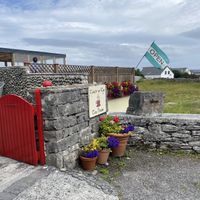   at Teach An Tae Aran Cafe & Tea Rooms in Galway