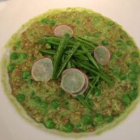 Risotto at Le Verdure in New York City