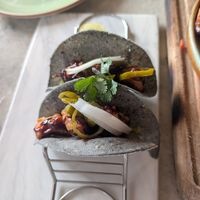 Mushroom tacos at Mercado in Nairobi