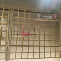   at Pompidop in Brussels