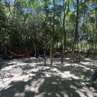   at Coelho Vegano in Tibau Do Sul