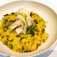 Safranrisotto mit Pilzen und Manchego at Das Ballenberger. Restaurant. in Erfurt