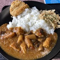 Vegan curry   at Nikko Maruhide Shokudo in Nikko