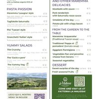 Vegan options on the menue at Saturnalia Wine Bar con Cucina in Saturnia