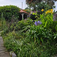  at Terra Fogo in Sao Miguel