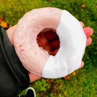  at Groovy Donuts in East Lansing