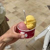 Mango + Blueberry  at Sa Gelateria Gelats Artesans S.L. in Menorca