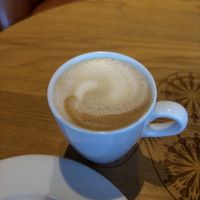   at Campus Suite in Cologne