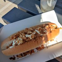 Vegan hotdog at Wild Shore Delamere in Northwich