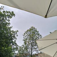 Atmostphere at Lang's Salad in Ninh Binh