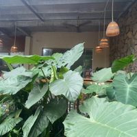   at Lang's Salad in Ninh Binh