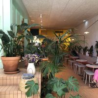   at Amélia Foz in Porto