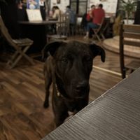   at Szabad Bisztró - Új Hely in Budapest