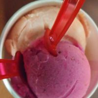  at La Copa Loca Gelato in San Francisco