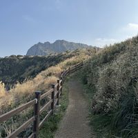   at Greenroof Jeju 꽃담수제버거 in Jeju