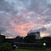  at Greenroof Jeju 꽃담수제버거 in Jeju