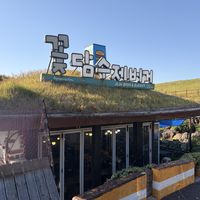   at Greenroof Jeju 꽃담수제버거 in Jeju