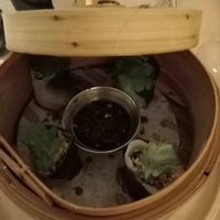 Mushroom dumplings at Light Years in Newcastle