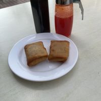 Spring rolls   at Restaurante Jiang Nan in Mallorca