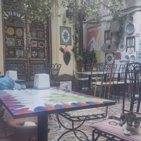 resident cat at Belli Siciliani Restaurant in Bucharest