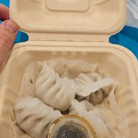 Mooshrooms vegan dumplings at Long Island Dumplings in New York City