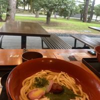 Vegan soba noodle with picked plum  at Restaurant Higakisaryo - レストラン 檜垣茶寮 in Kyoto