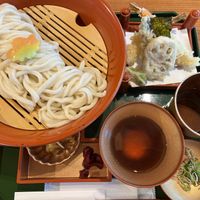 Vegan cold udon noodle lunch!   at Restaurant Higakisaryo - レストラン 檜垣茶寮 in Kyoto