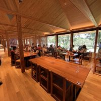 Pleasant large space with natural light   at Restaurant Higakisaryo - レストラン 檜垣茶寮 in Kyoto