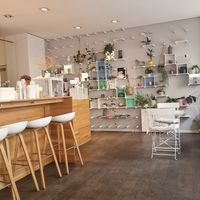  at UuDam   in Vienna