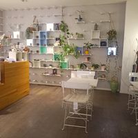  at UuDam   in Vienna