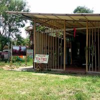 Outside the restaurant at The Tea Tree Cafe in Chiang Mai