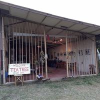 Front of Cafe at The Tea Tree Cafe in Chiang Mai