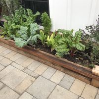   at The Plot Express in Carlsbad